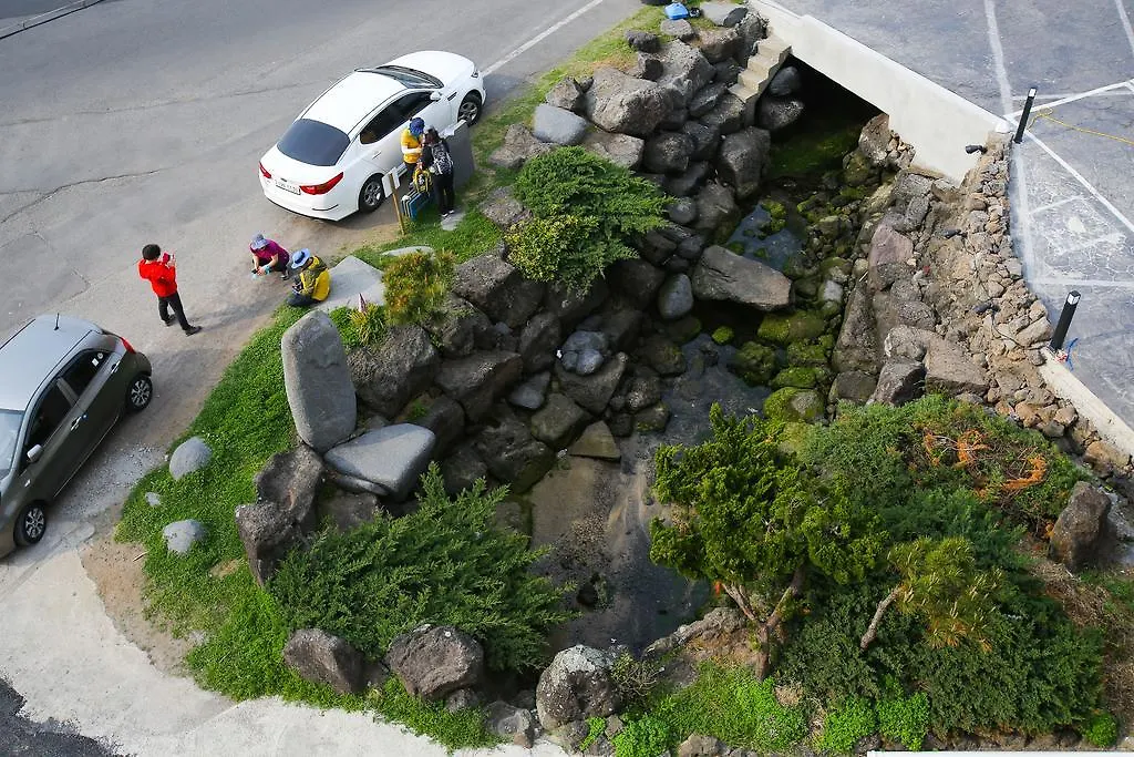 Sea And Bike Hotel Jeju Guest house